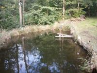 IMG_20220925_165055 (800x600).jpg